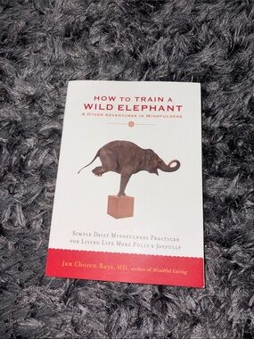 How to Train a Wild Elephant by Jan Chozen Bays